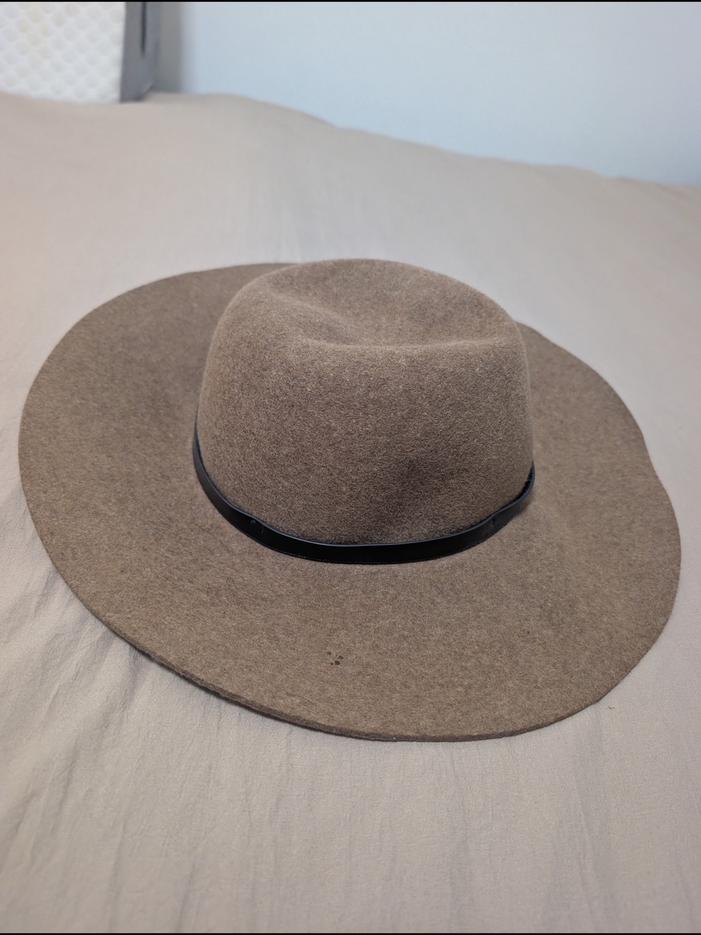 Wide Brim Felt Fedora Hat in Brown